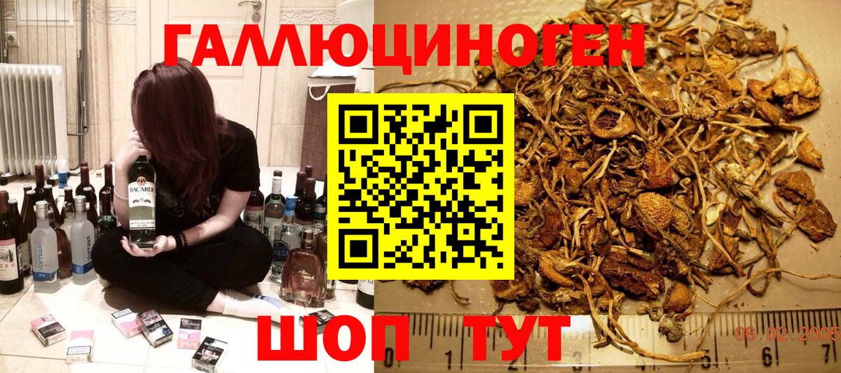 Псилоцибиновые грибы MAGIC MUSHROOMS Первоуральск
