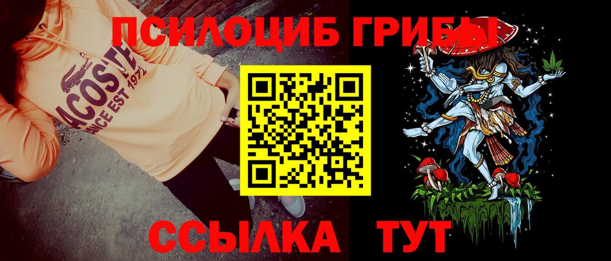 Первоуральск  Псилоцибиновые грибы прущие грибы  Псилоцибиновые грибы мицелий  Вход с VPN 